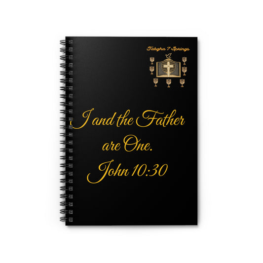 Prayer Devotional Journal - I and the Father are One (John 10:30)